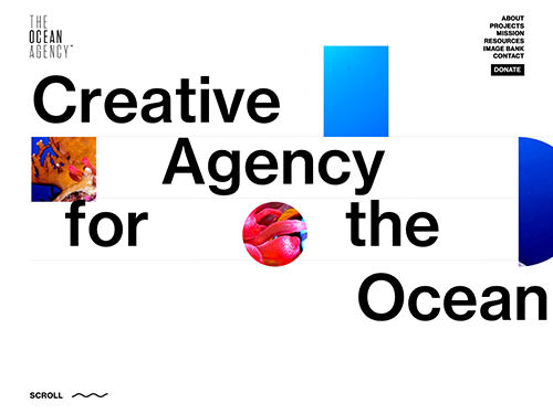 The Ocean Agency