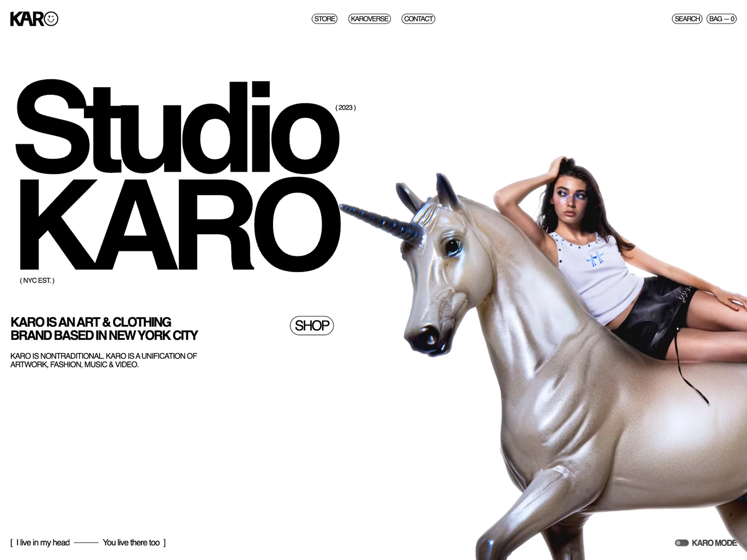 KARO | NYC Artist & Designer